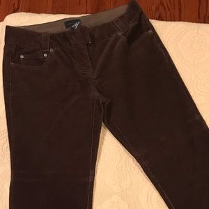 The Limited Dark Brown cords Sz 8